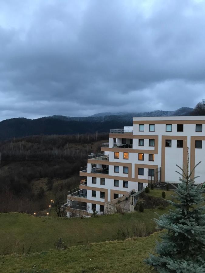 בראשוב White Season Residence מראה חיצוני תמונה